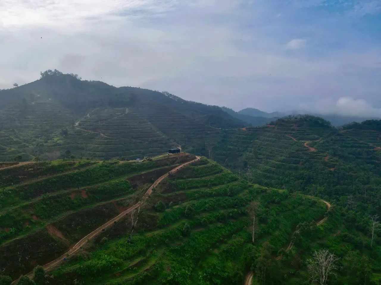 宏辉果蔬马来西亚榴莲基地